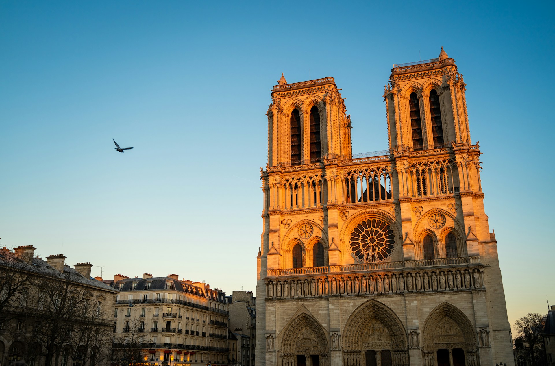 Notre-Dame de Paris