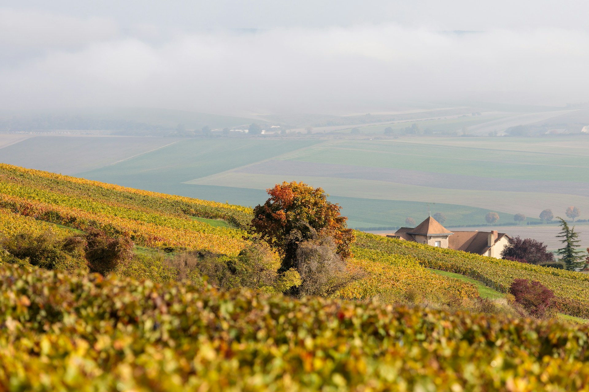Épernay